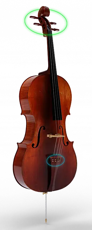 Cello Pegs and Fine Tuners Diagram